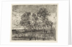Three trees on a shore by Augustinus Jacobus Bernardus Wouters
