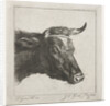 Head of a cow with rope around the horns by Jacobus Cornelis Gaal