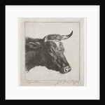 Head of a cow with rope around the horns by Jacobus Cornelis Gaal