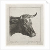 Head of a cow with rope around the horns by Jacobus Cornelis Gaal
