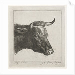 Head of a cow with rope around the horns by Jacobus Cornelis Gaal