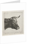 Head of a cow with rope around the horns by Jacobus Cornelis Gaal