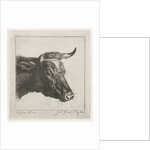 Head of a cow with rope around the horns by Jacobus Cornelis Gaal
