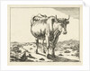 Standing cow, viewed from the front by Paulus Potter