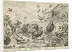 Various poultry and a turkey by Jacob Gole