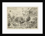 Various poultry and a turkey by Jacob Gole