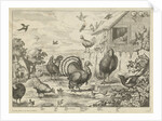 Various poultry and a turkey by Jacob Gole