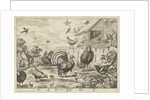 Various poultry and a turkey by Jacob Gole