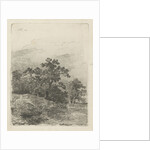 Forest scene with a lake by Remigius Adrianus Haanen