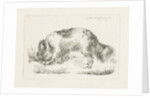 Drinking dog by Guillaume Anne van der Brugghen