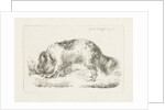 Drinking dog by Guillaume Anne van der Brugghen