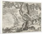 Sleeping Shepherd near a big tree, Roelandt Savery by Marcus Christoph Sadeler
