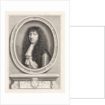 Portrait of Louis XIV, king of France, with lace collar with two brushes by Nicolas Mignard