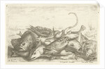 Fishes and a Crab by Lodewijk XIV