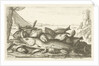 Fishes by Lodewijk XIV