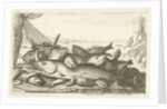 Fishes by Lodewijk XIV