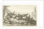 Fishes by Lodewijk XIV