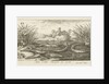 Loaches on a river bank by Albert Flamen