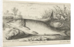 Three carp on a riverbank by Louis XIV King of France