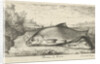Two bream on a riverbank by Lodewijk XIV