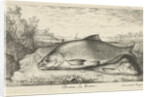 Two bream on a riverbank by Lodewijk XIV