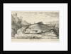Two bream on a riverbank by Lodewijk XIV