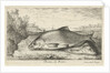 Two bream on a riverbank by Lodewijk XIV