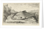Two bream on a riverbank by Lodewijk XIV