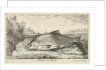 Two bream on a riverbank by Lodewijk XIV