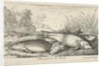 Four tench on a river bank by Lodewijk XIV
