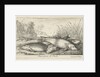 Four tench on a river bank by Lodewijk XIV