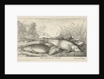 Four tench on a river bank by Lodewijk XIV