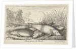 Four tench on a river bank by Lodewijk XIV