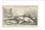 Four tench on a river bank by Lodewijk XIV