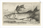 Two pike on a riverbank by Louis XIV King of France