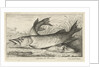Two pike on a riverbank by Louis XIV King of France