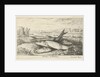 Three barbs on a riverbank by Lodewijk XIV