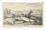 Three barbs on a riverbank by Lodewijk XIV