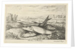 Three barbs on a riverbank by Lodewijk XIV