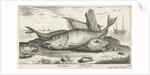 Three haddock on the beach by Lodewijk XIV