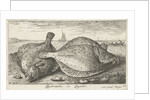 Two plaice on the beach by Louis Bernard Coclers
