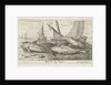 Fish on the beach by Albert Flamen