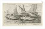 Fish on the beach by Albert Flamen