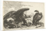 Vulture and an eagle with snake by De Poilly