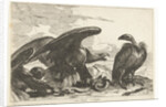 Vulture and an eagle with snake by De Poilly