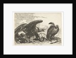 Vulture and an eagle with snake by De Poilly