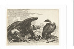 Vulture and an eagle with snake by De Poilly