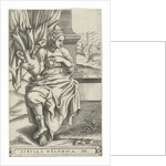 Delphic Sibyl by Frans Huys