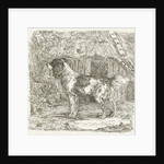 A dog by Jan Dasveldt