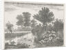 Ducks in a ditch by Hermanus Jan Hendrik van Rijkelijkhuysen